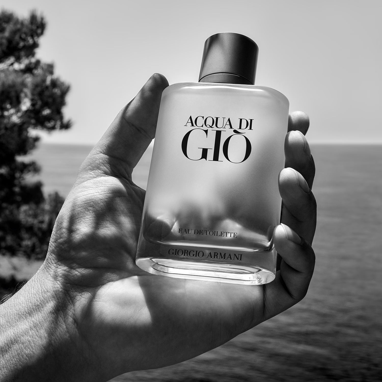 Armani Acqua di Gio - Eau de Toilette