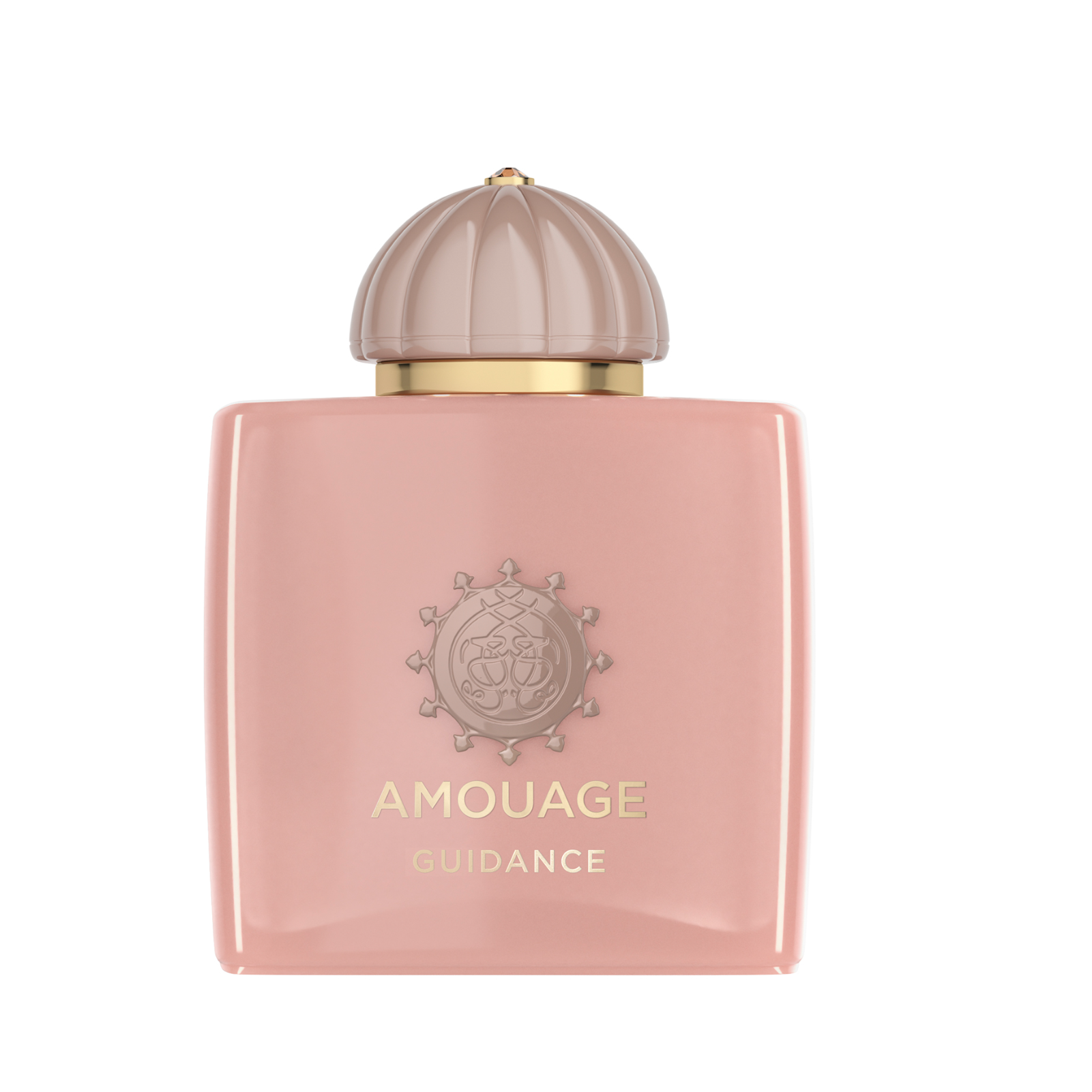 Amouage Guidance Edp 100 ml Kadın Parfüm