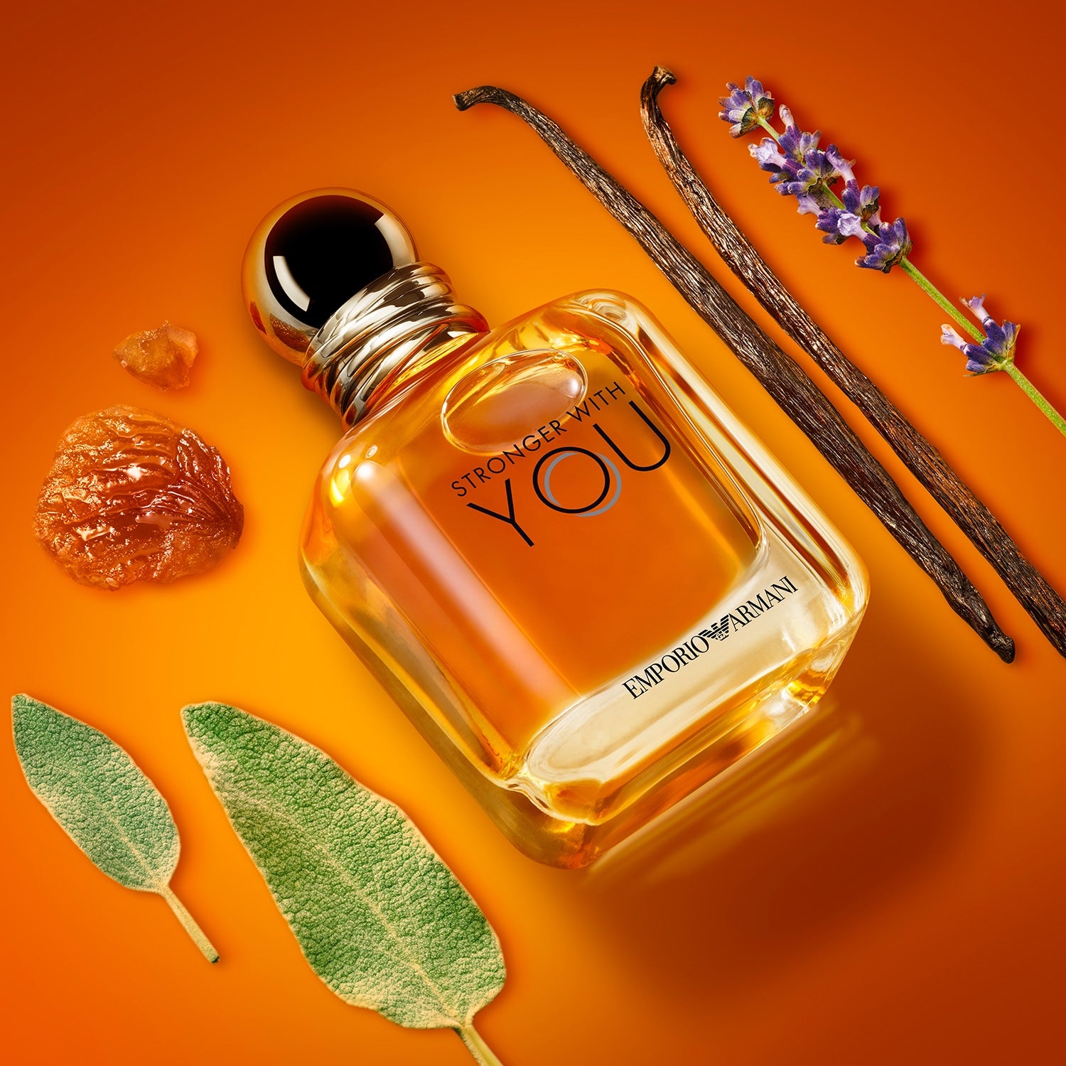 Emporio Armani Stronger with You - Eau de Toilette